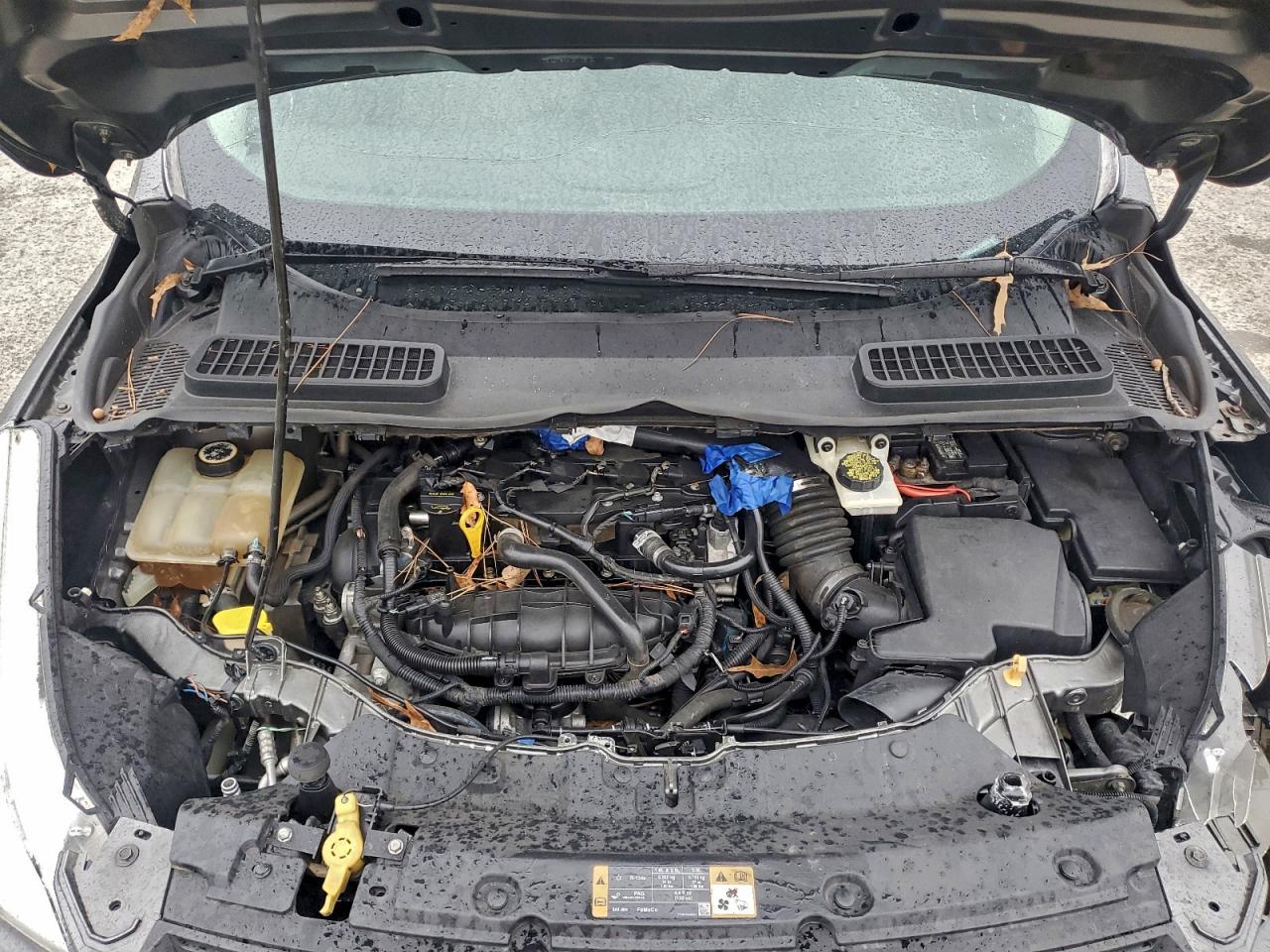 2014 FORD ESCAPE SE photo 11