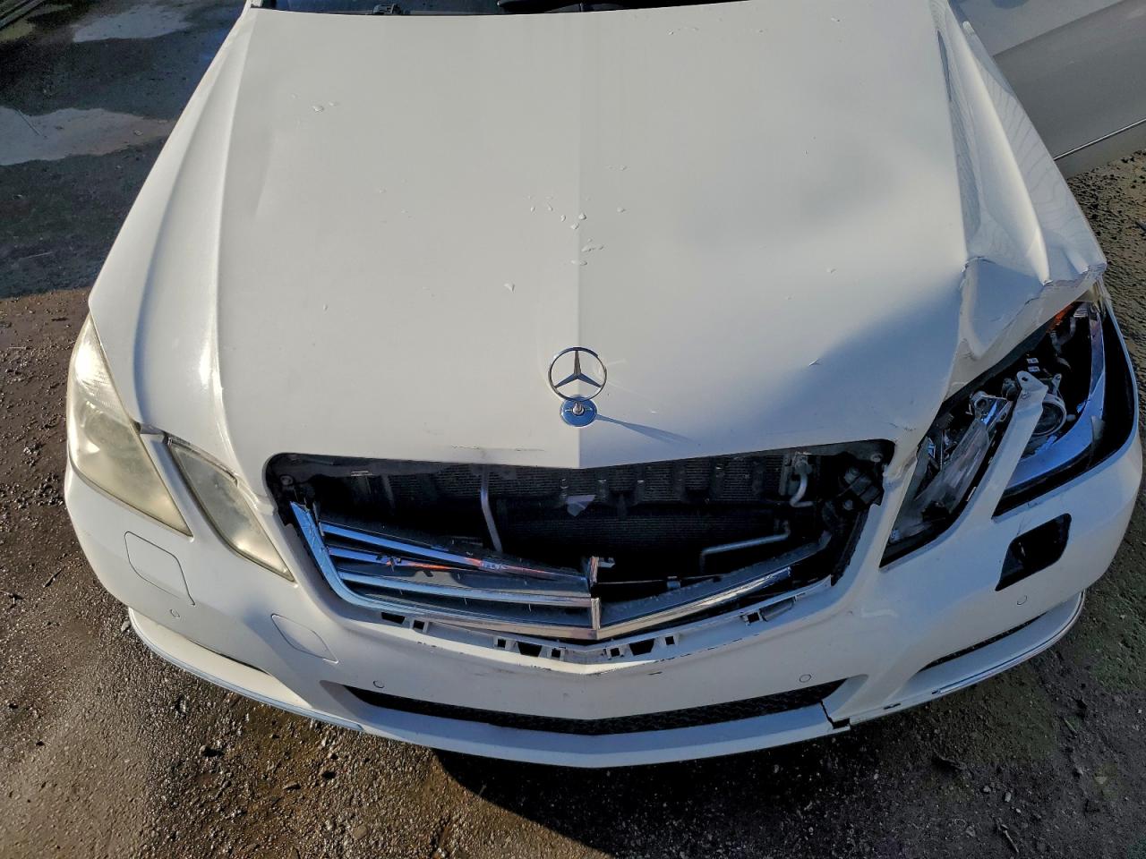 2010 MERCEDES-BENZ E 350 photo 11