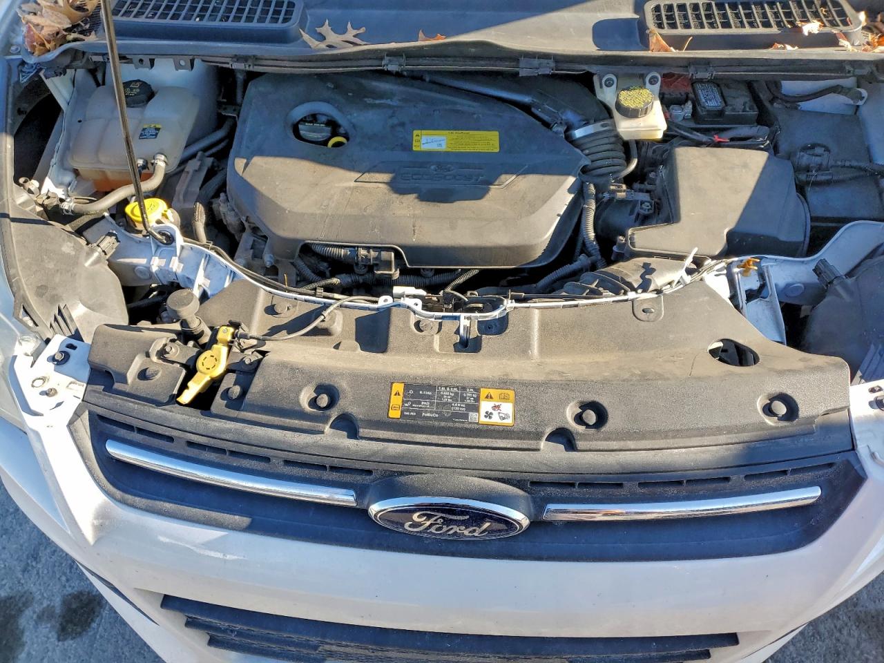 2013 FORD ESCAPE SE photo 12