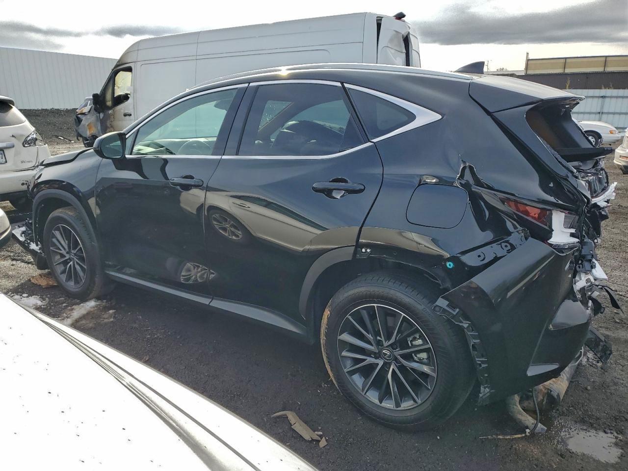 2025 LEXUS NX 350 PREMIUM photo 3