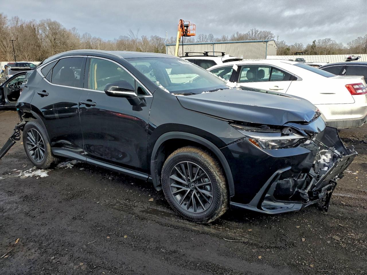 2025 LEXUS NX 350 PREMIUM photo 7