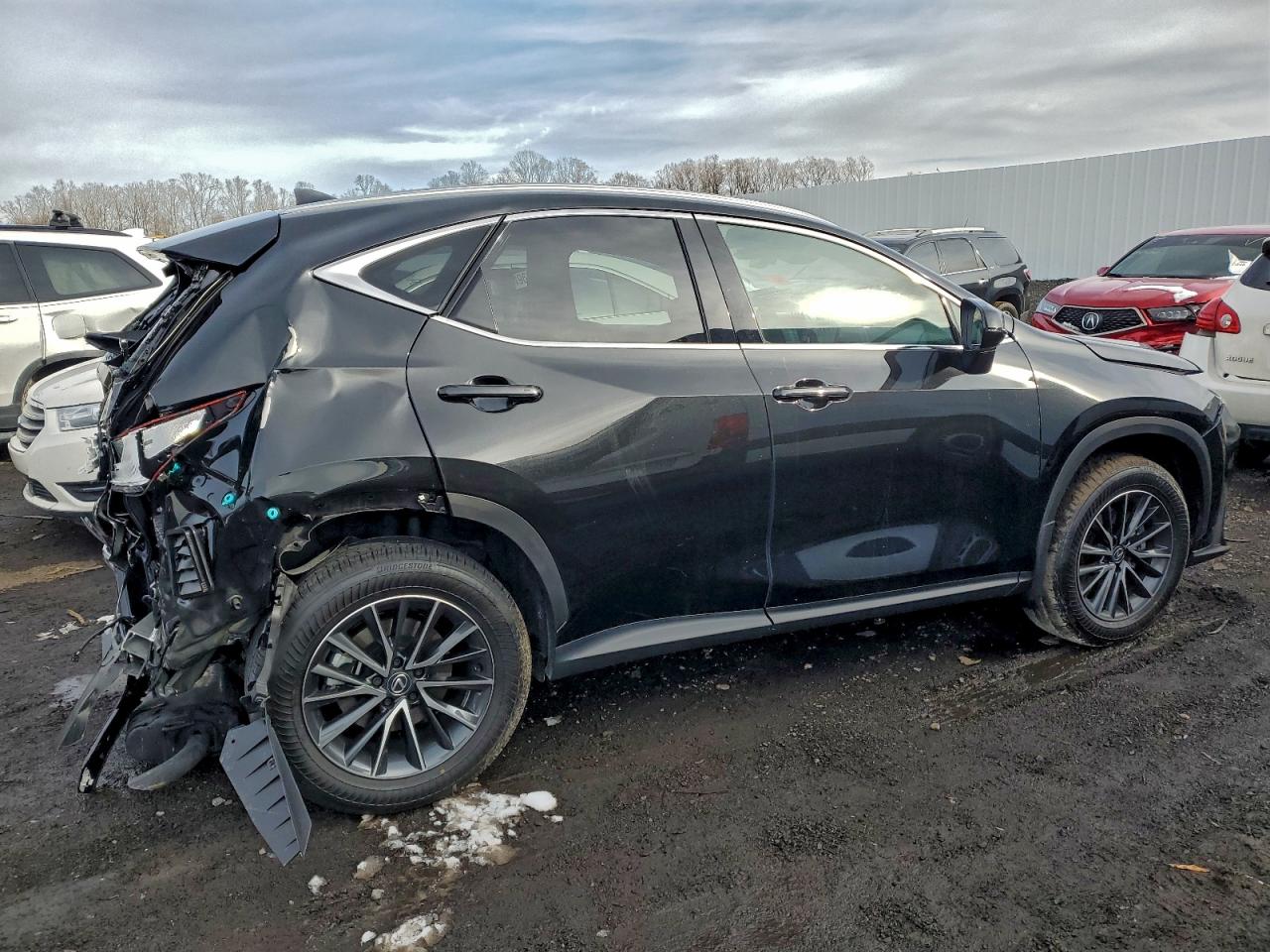 2025 LEXUS NX 350 PREMIUM photo 5