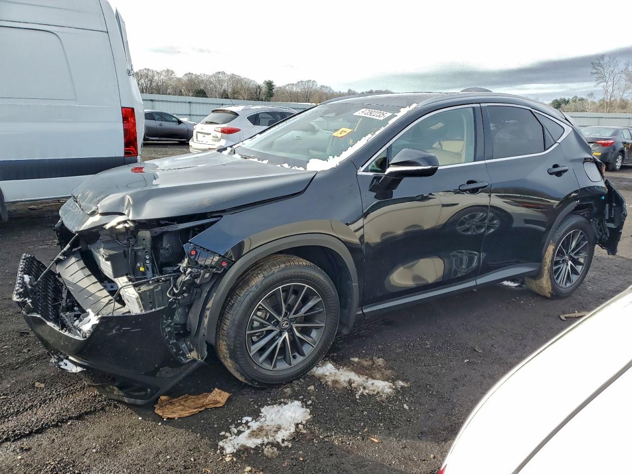 2025 LEXUS NX