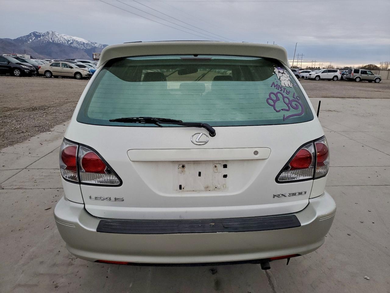2002 LEXUS RX 300 photo 11