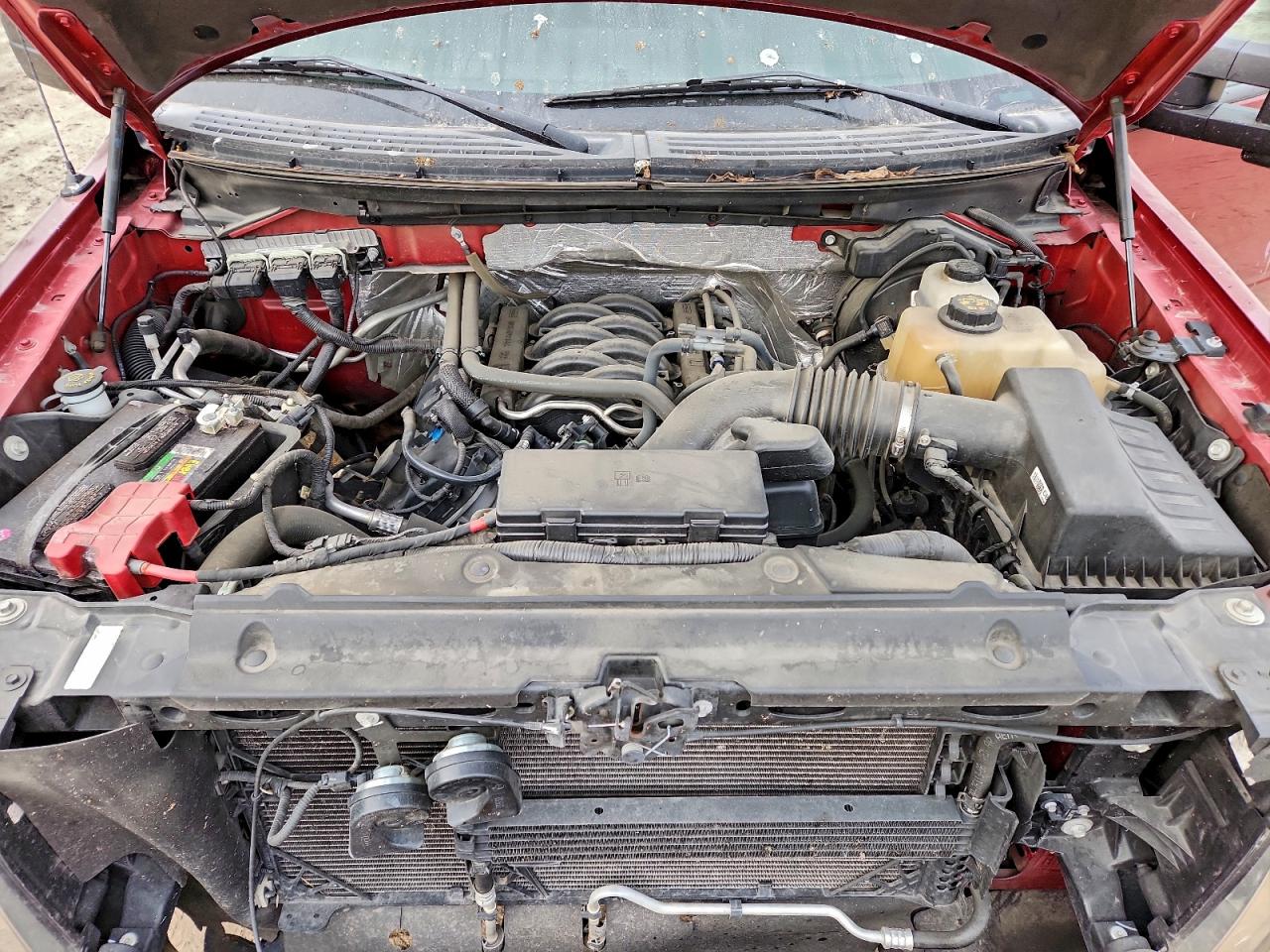 2013 FORD F150 SUPERCREW photo 11