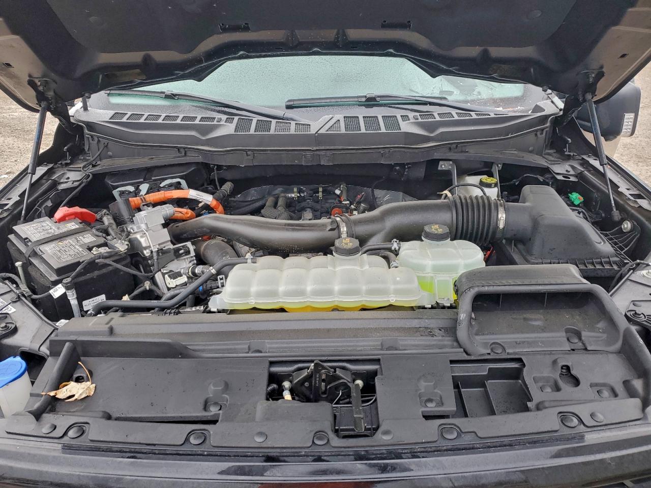 2025 FORD F150 XLT photo 11