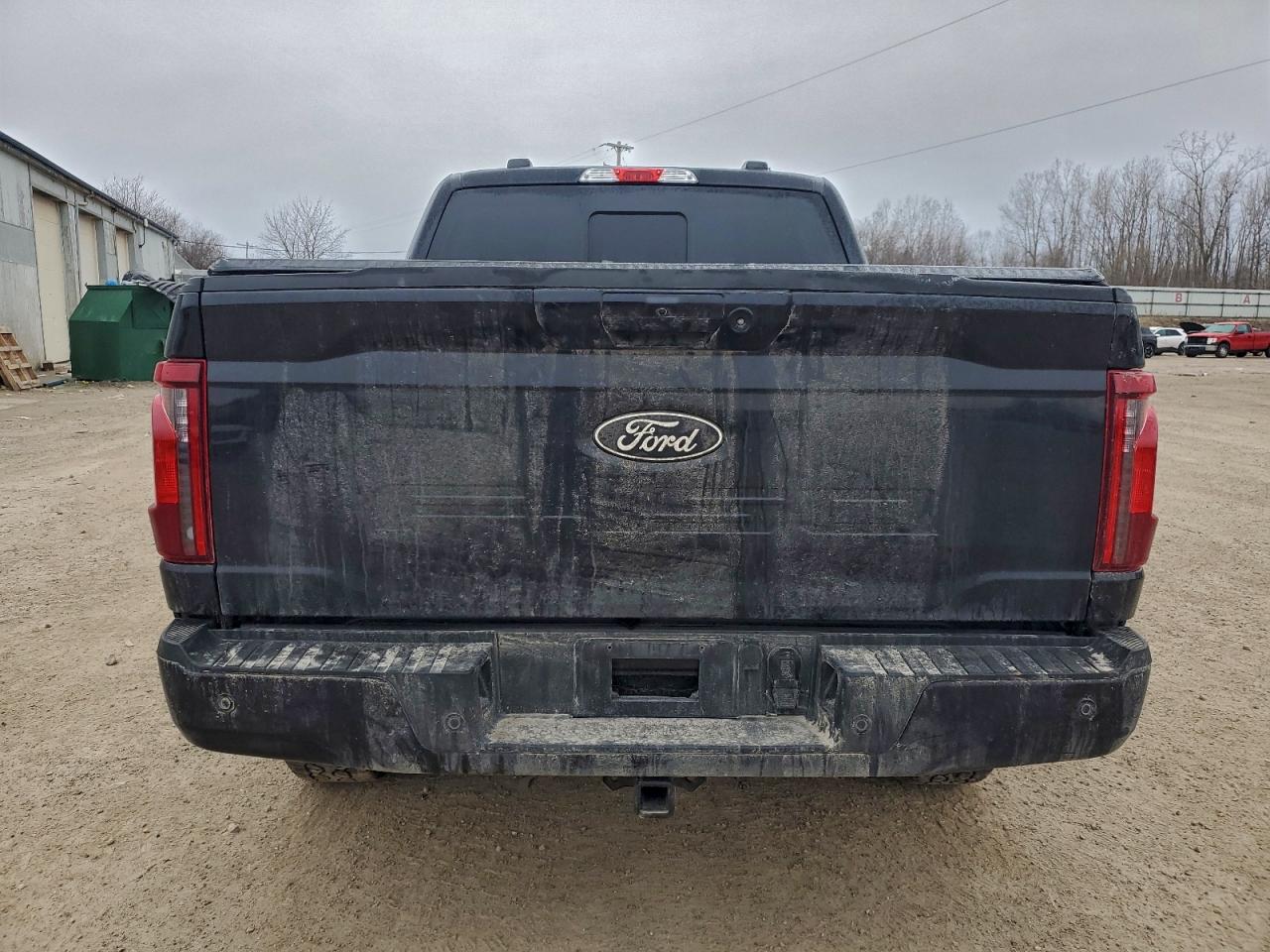 2025 FORD F150 XLT photo 6