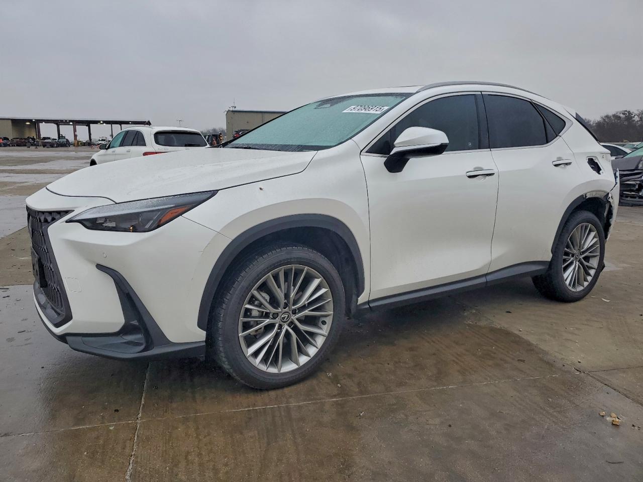 2025 LEXUS NX