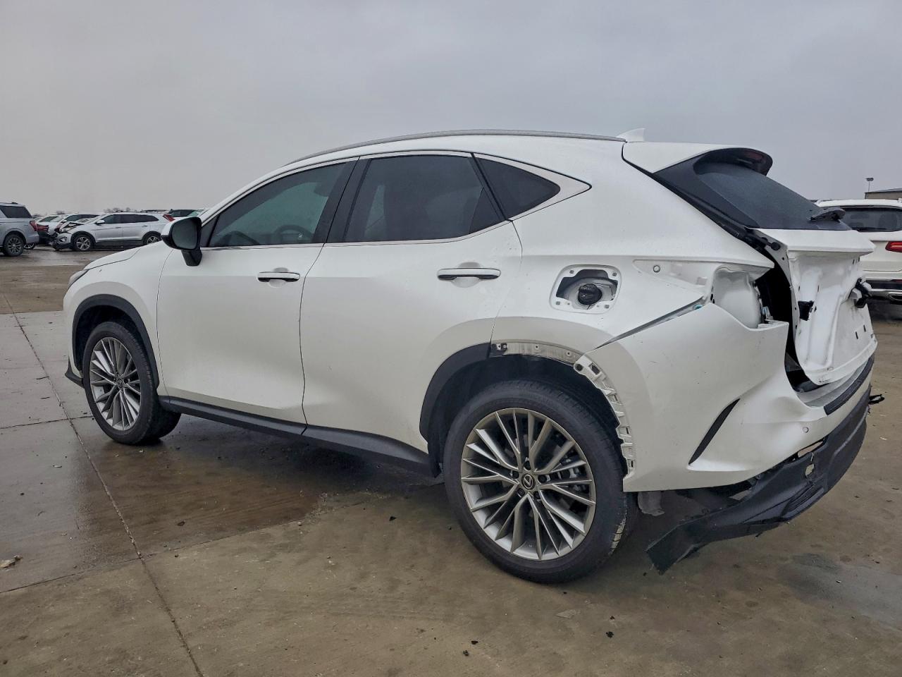 2025 LEXUS NX 350 PREMIUM photo 3