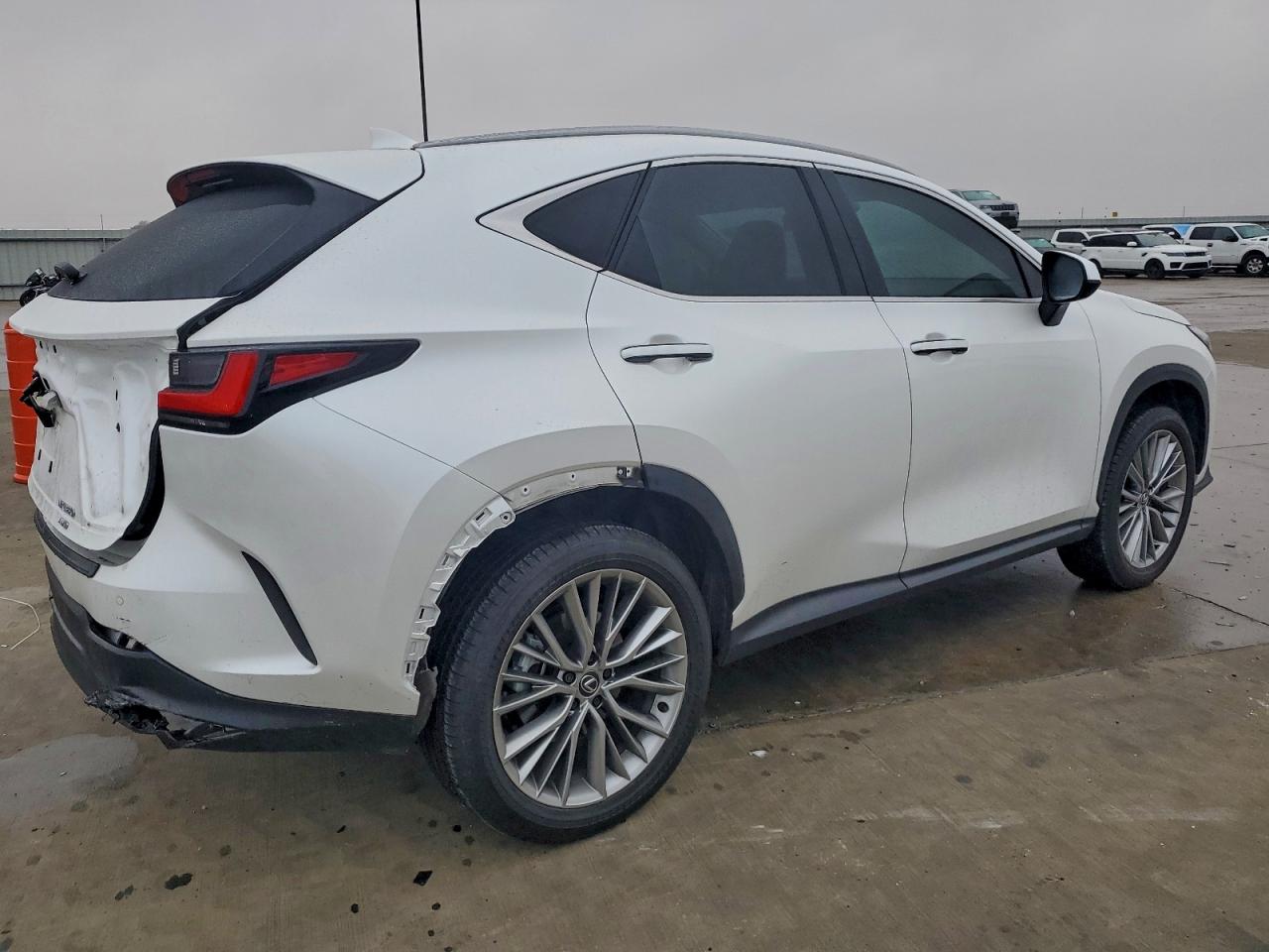 2025 LEXUS NX 350 PREMIUM photo 5