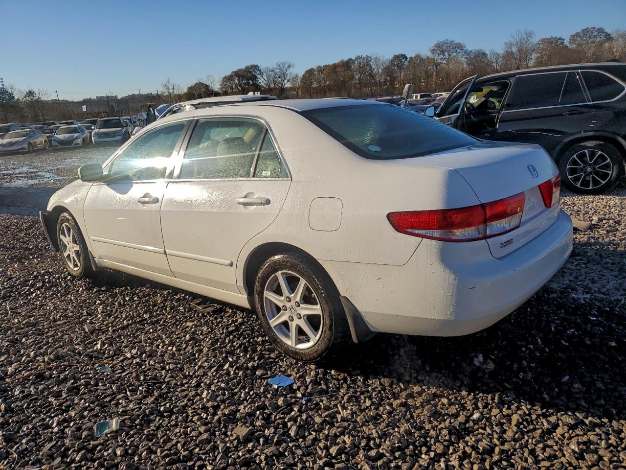 2003 HONDA ACCORD EX photo 3