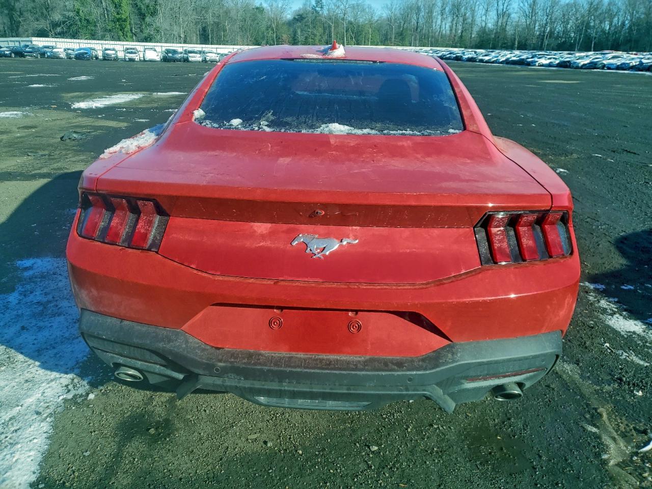 2025 FORD MUSTANG photo 11