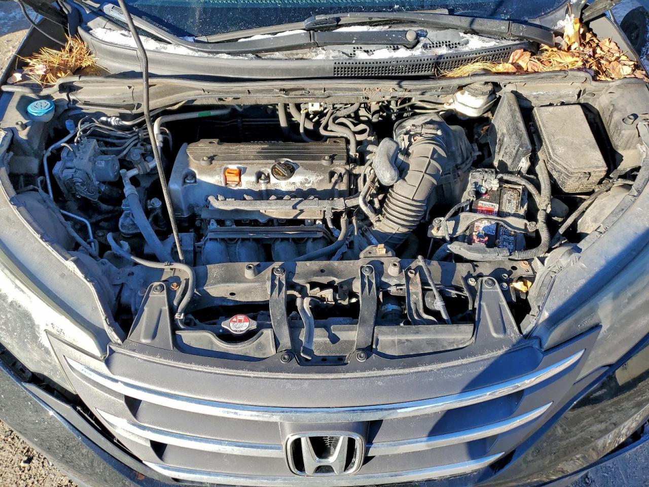 2014 HONDA CR-V EX photo 12