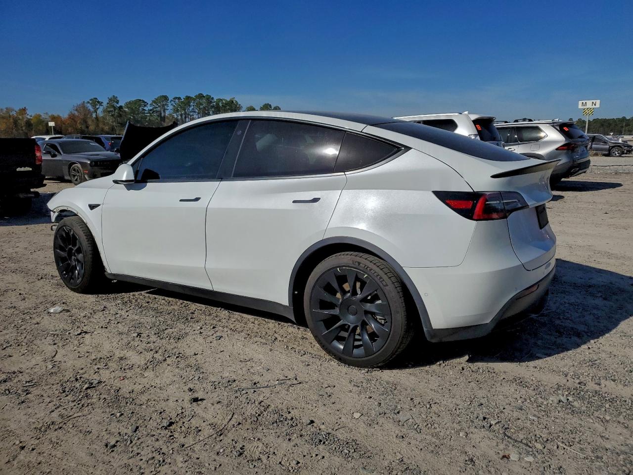 2021 TESLA MODEL Y photo 3