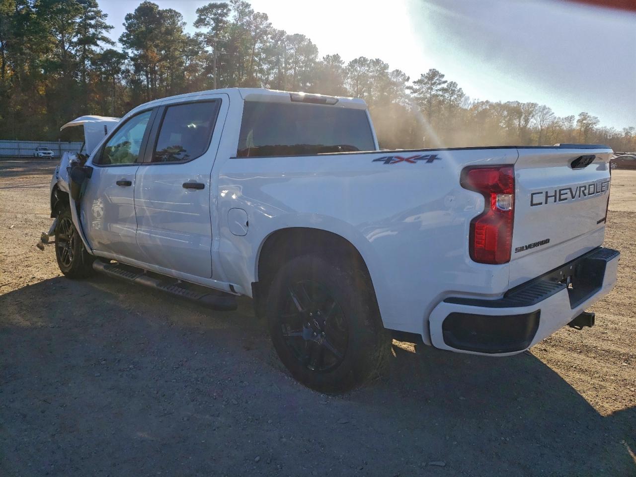 2025 CHEVROLET SILVERADO K1500 CUSTOM photo 2