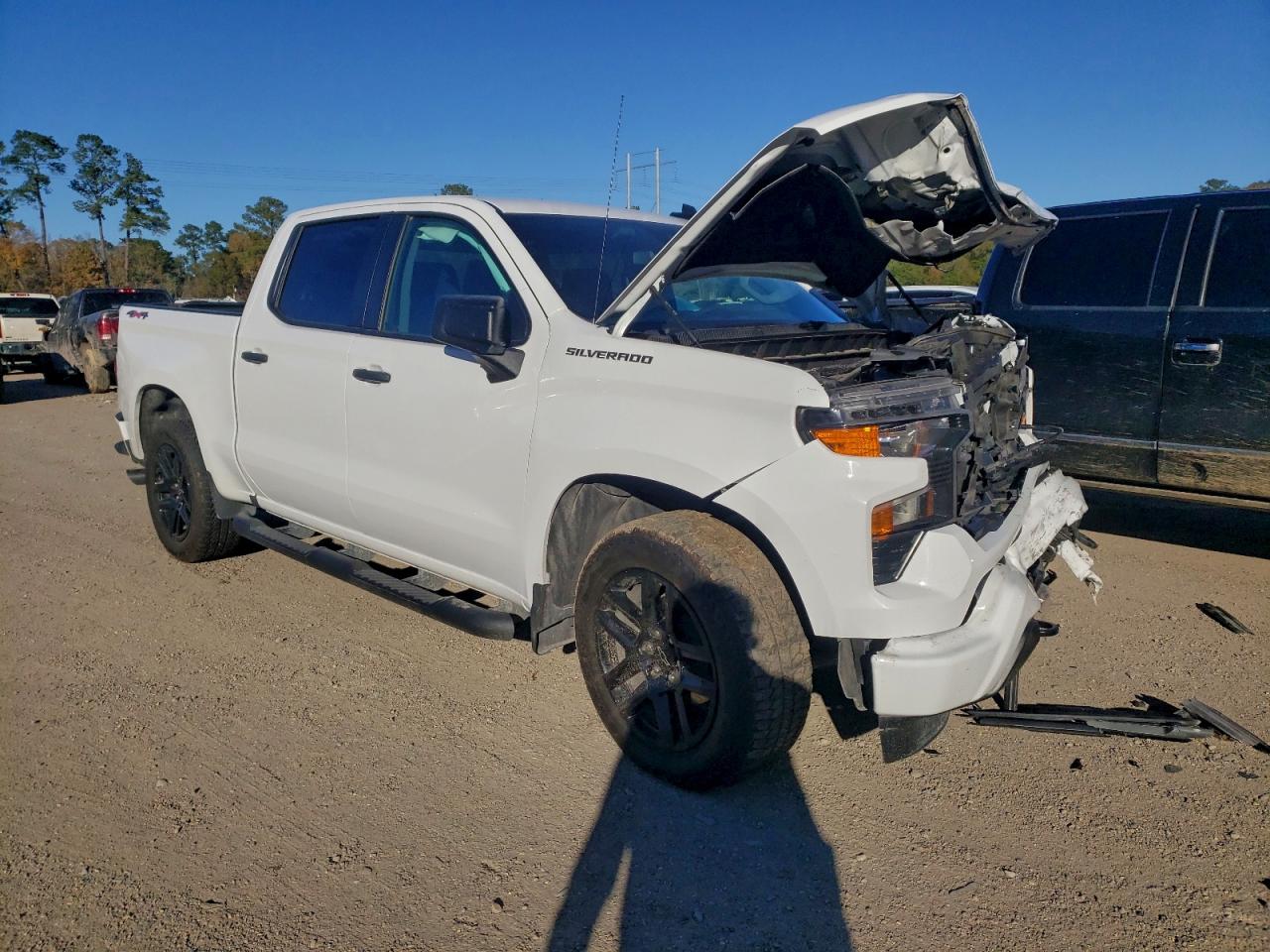2025 CHEVROLET SILVERADO K1500 CUSTOM photo 4