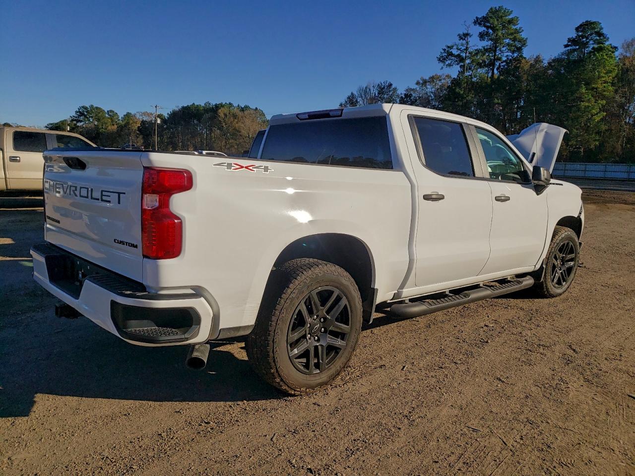 2025 CHEVROLET SILVERADO K1500 CUSTOM photo 3
