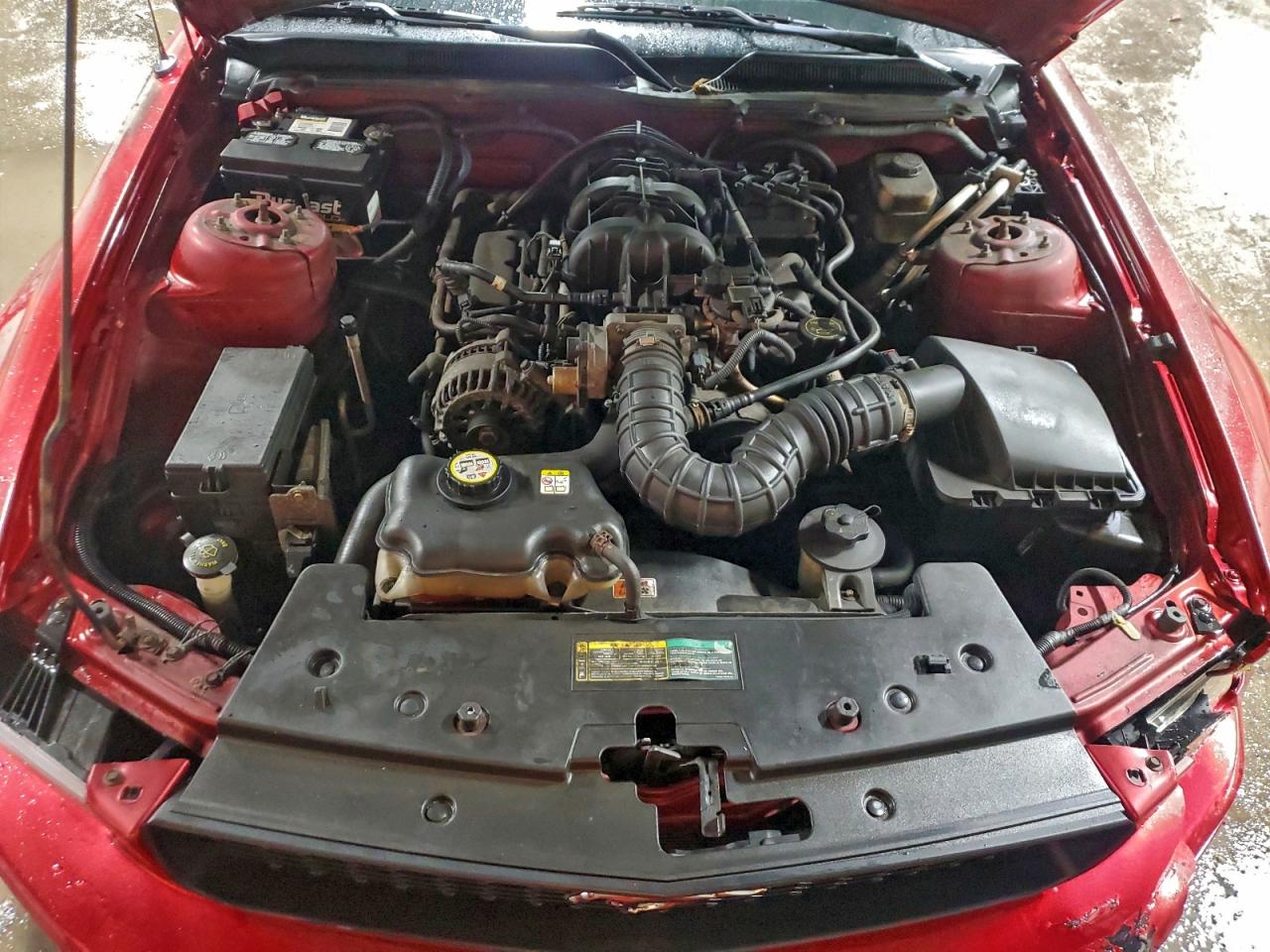 2008 FORD MUSTANG photo 11