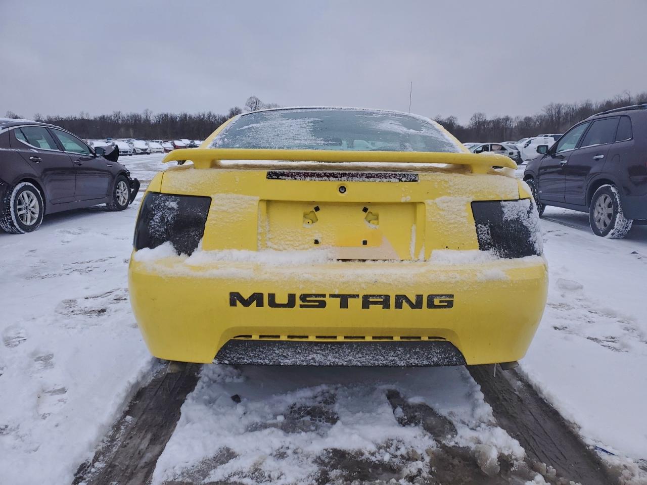 2001 FORD MUSTANG photo 6