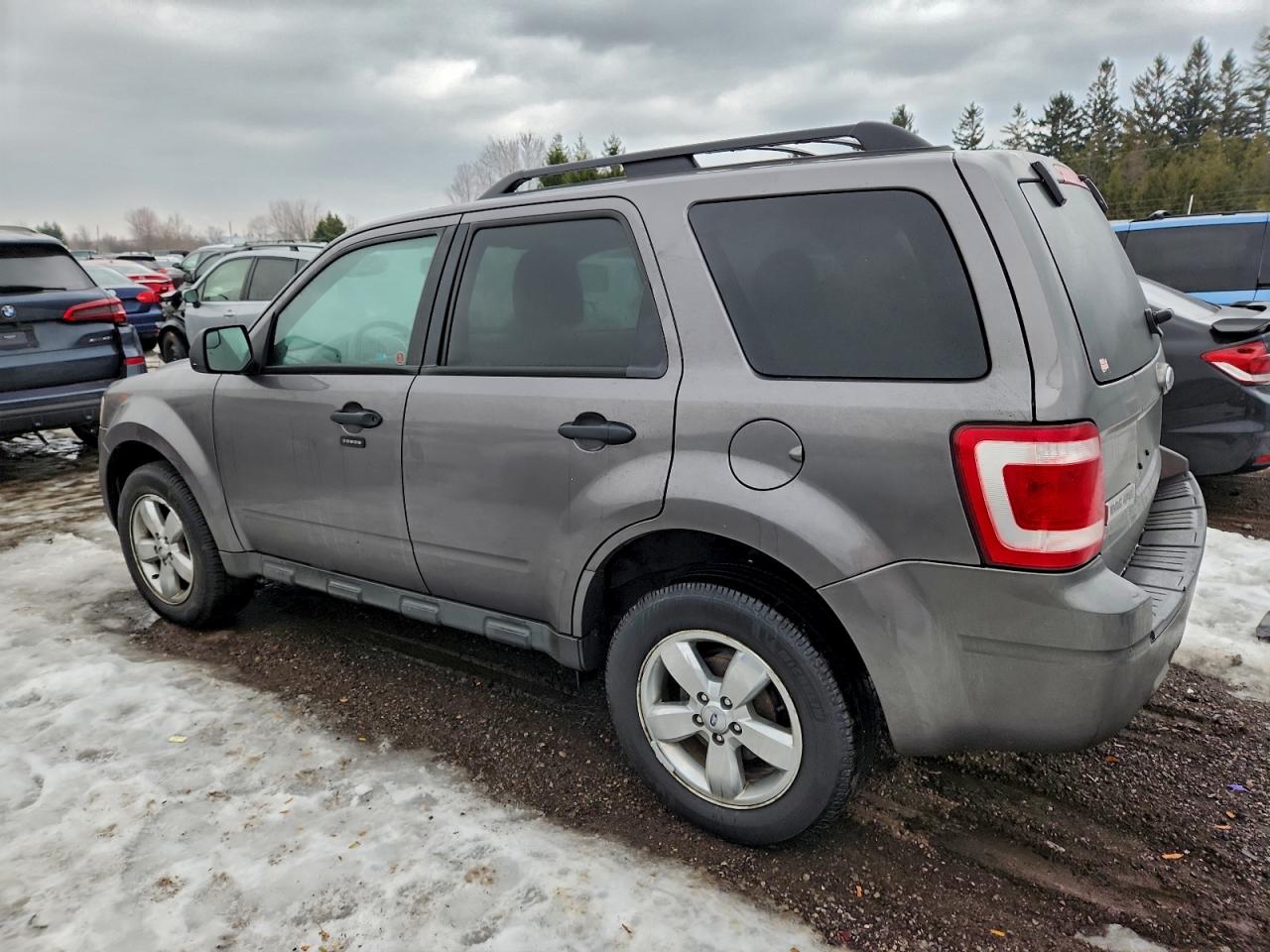 2010 FORD ESCAPE XLT photo 3