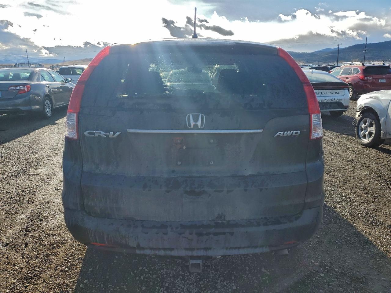 2014 HONDA CR-V EX photo 11