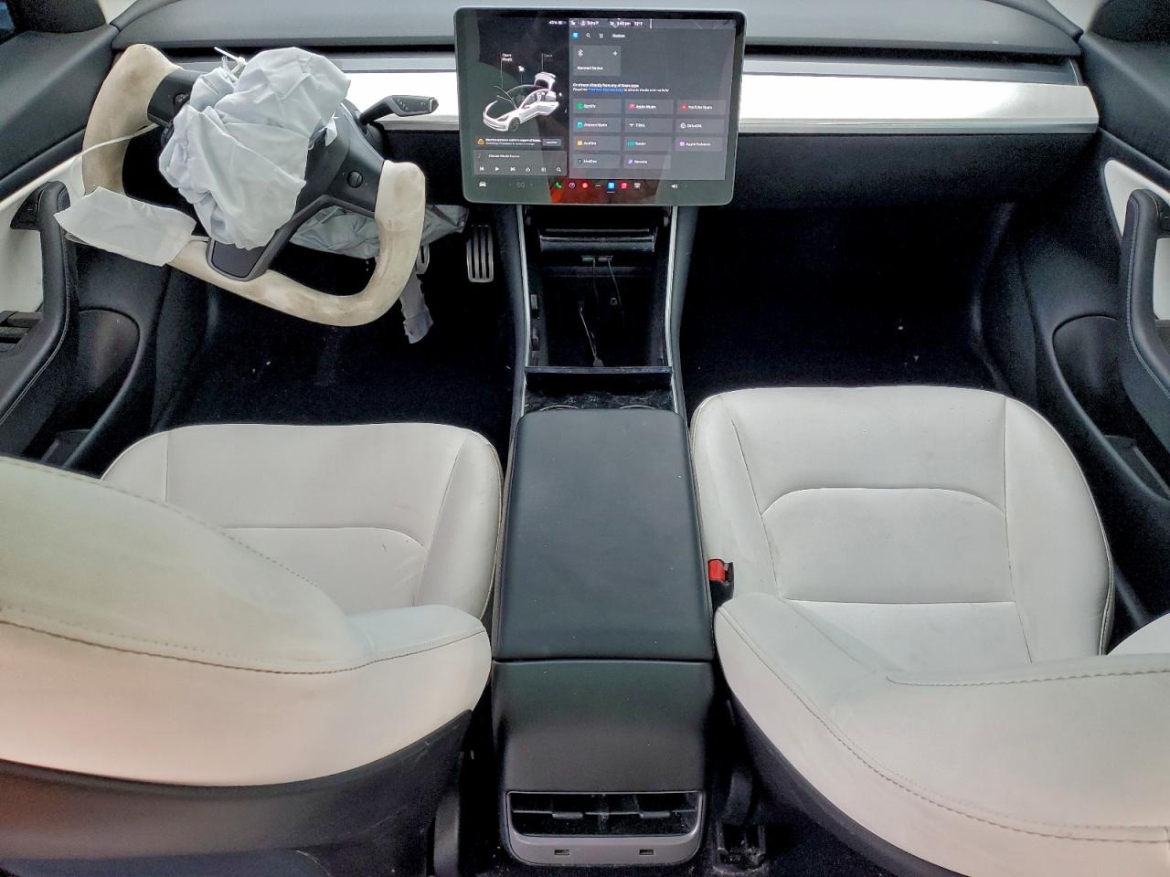 2020 TESLA MODEL 3 photo 22