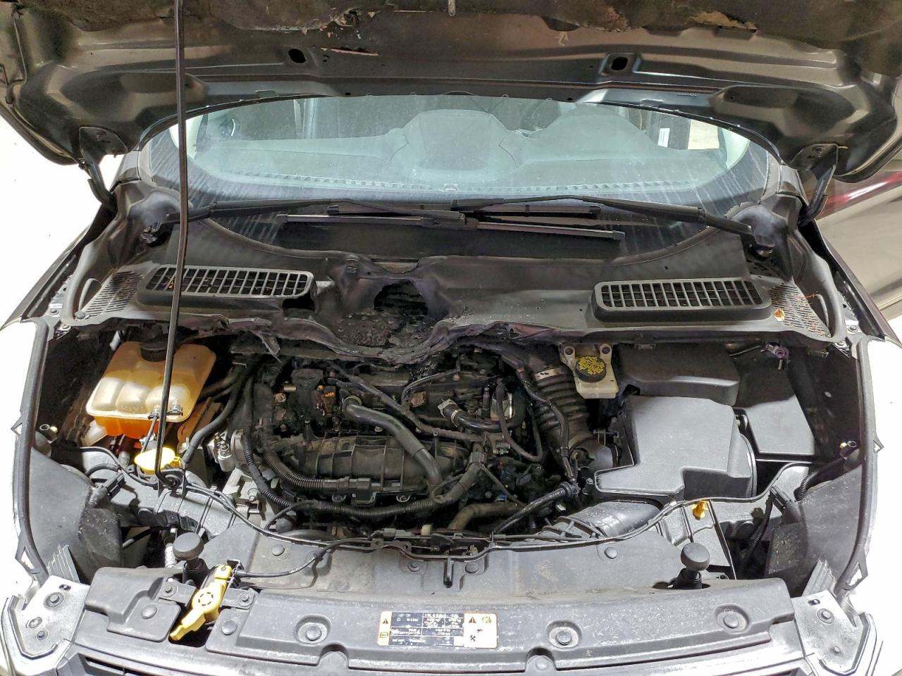 2015 FORD ESCAPE SE photo 12