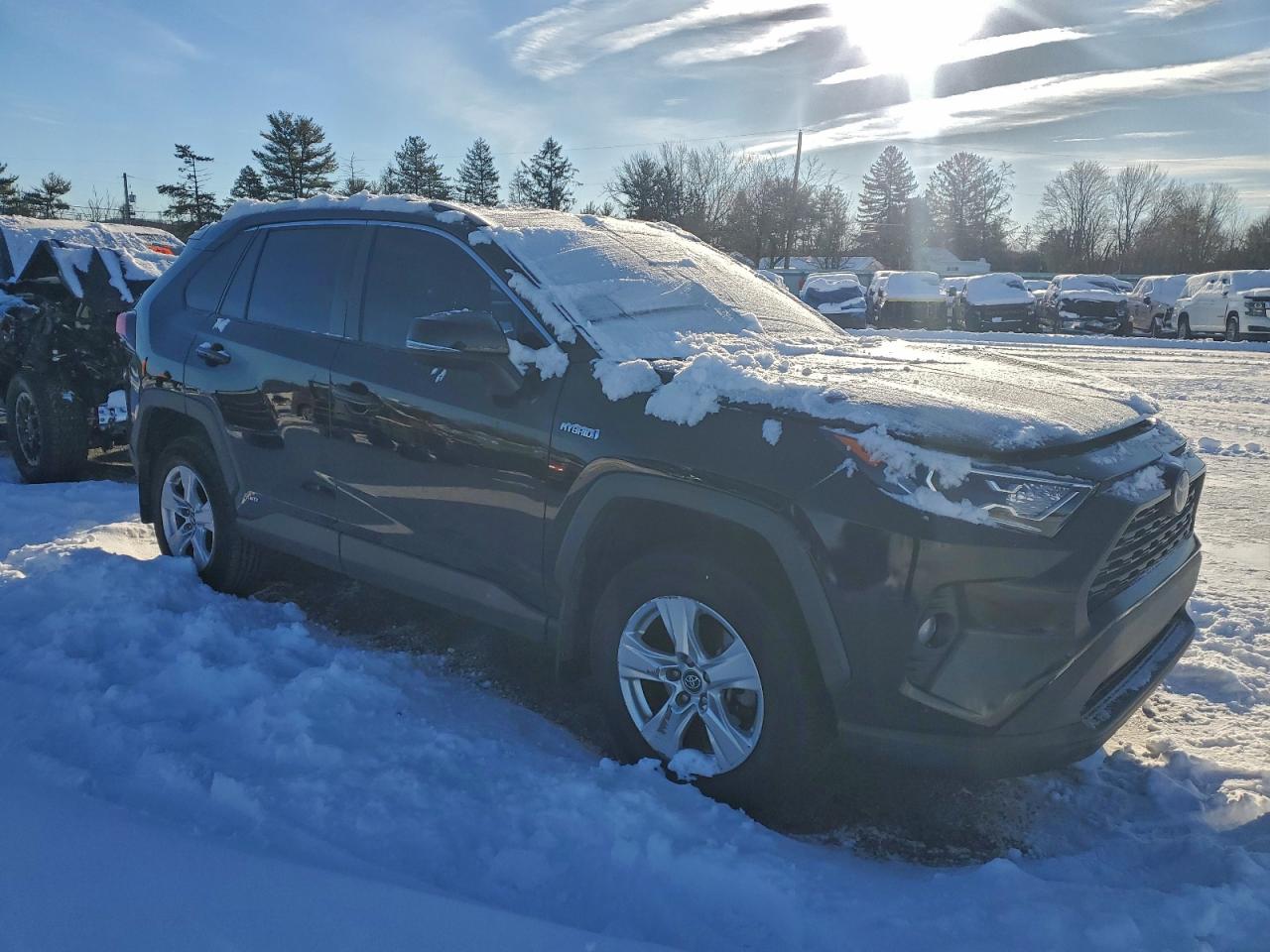 2019 TOYOTA RAV4 XLE photo 7
