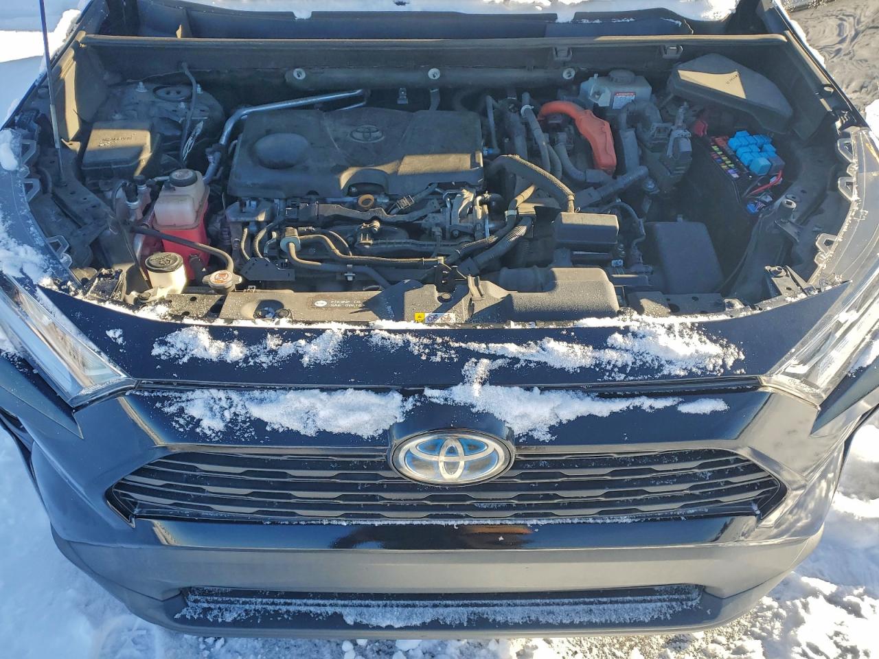 2019 TOYOTA RAV4 XLE photo 23