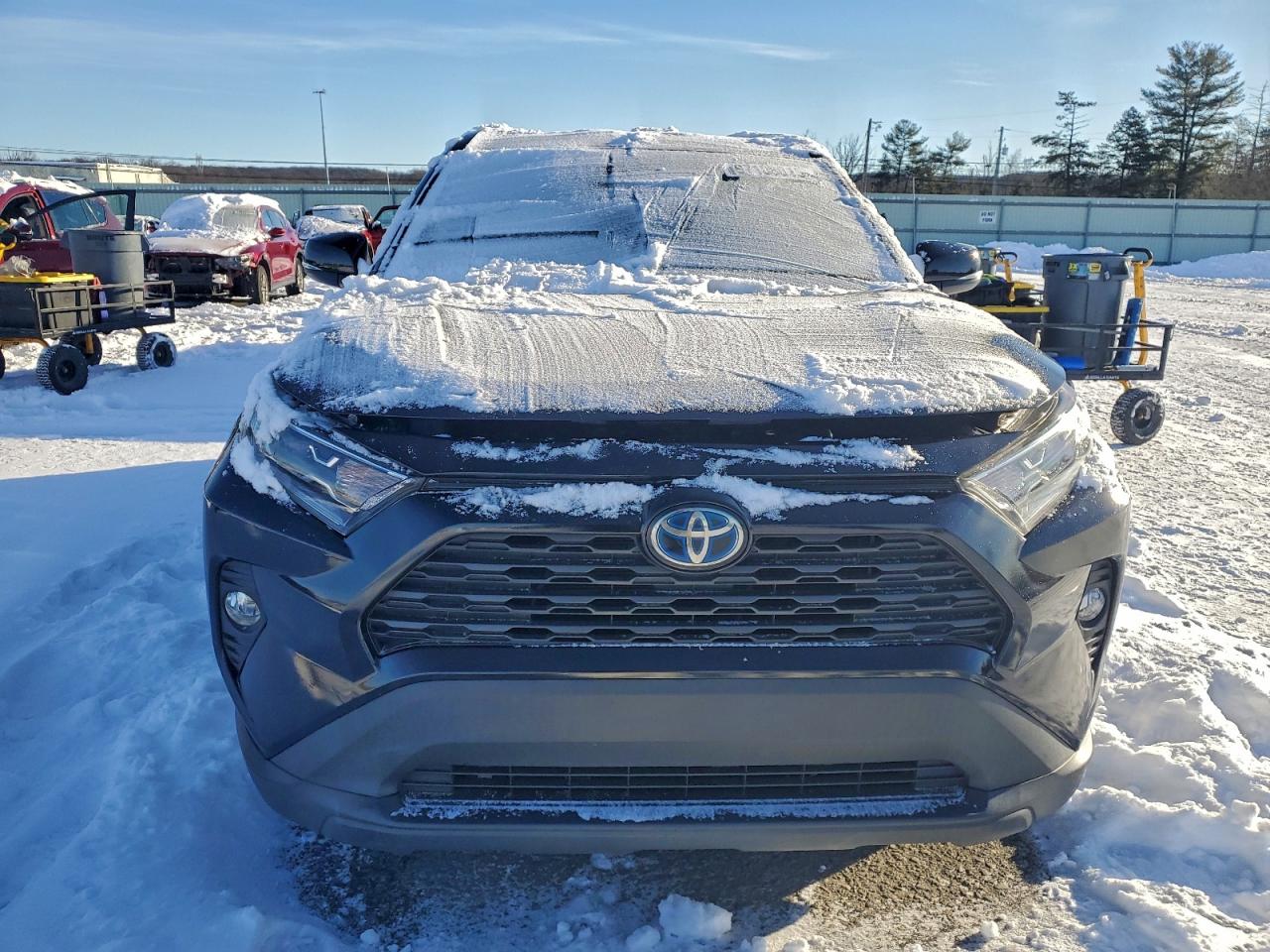 2019 TOYOTA RAV4 XLE photo 9