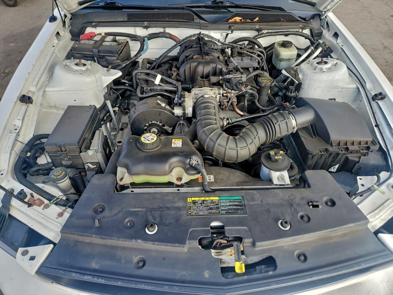 2005 FORD MUSTANG photo 11