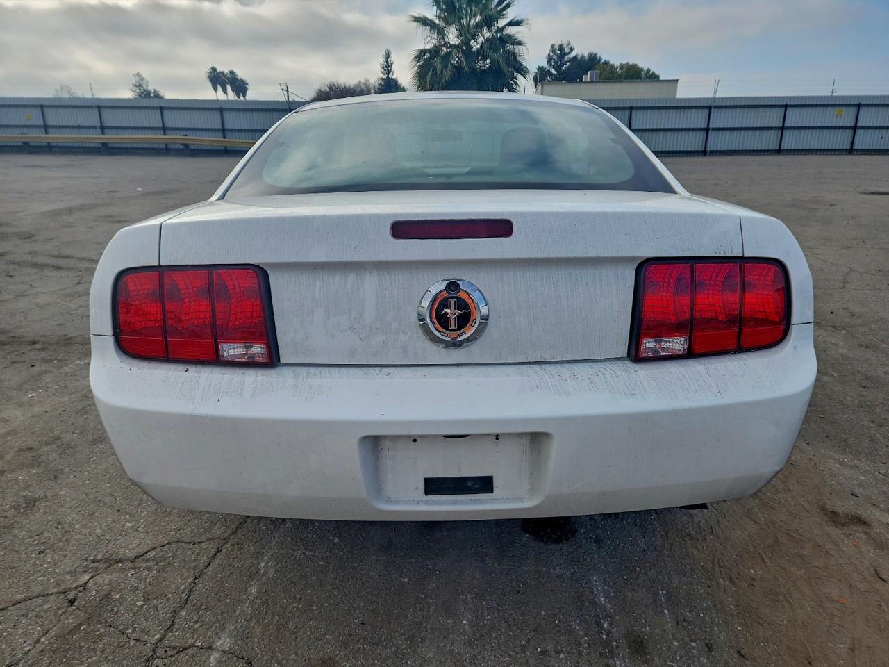2005 FORD MUSTANG photo 6