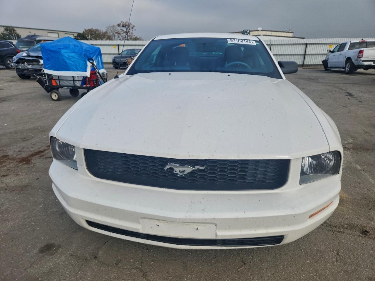 2005 FORD MUSTANG photo 5