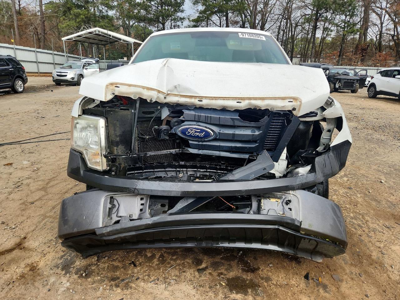 2010 FORD F150 photo 13
