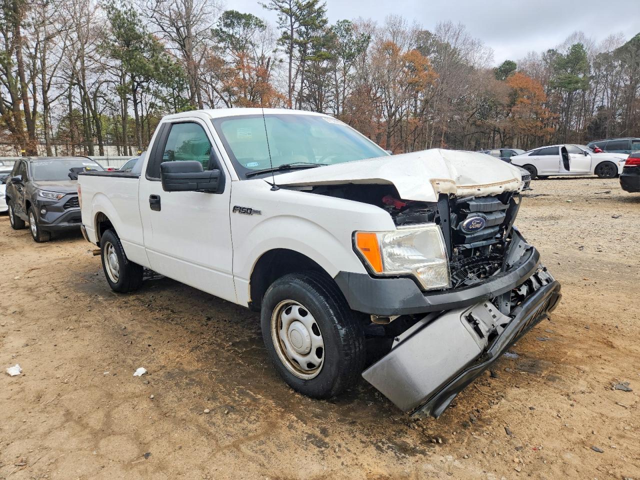 2010 FORD F150 photo 10