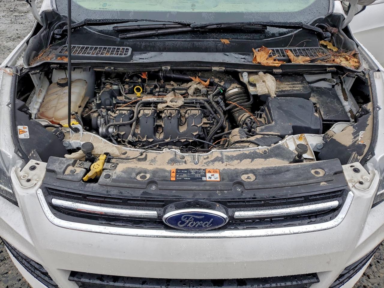 2015 FORD ESCAPE TITANIUM photo 11