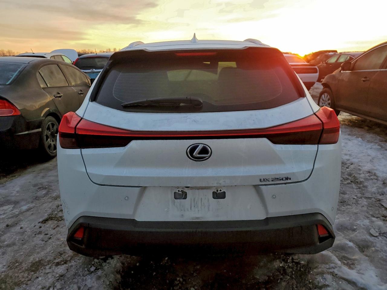 2020 LEXUS UX 250H photo 11