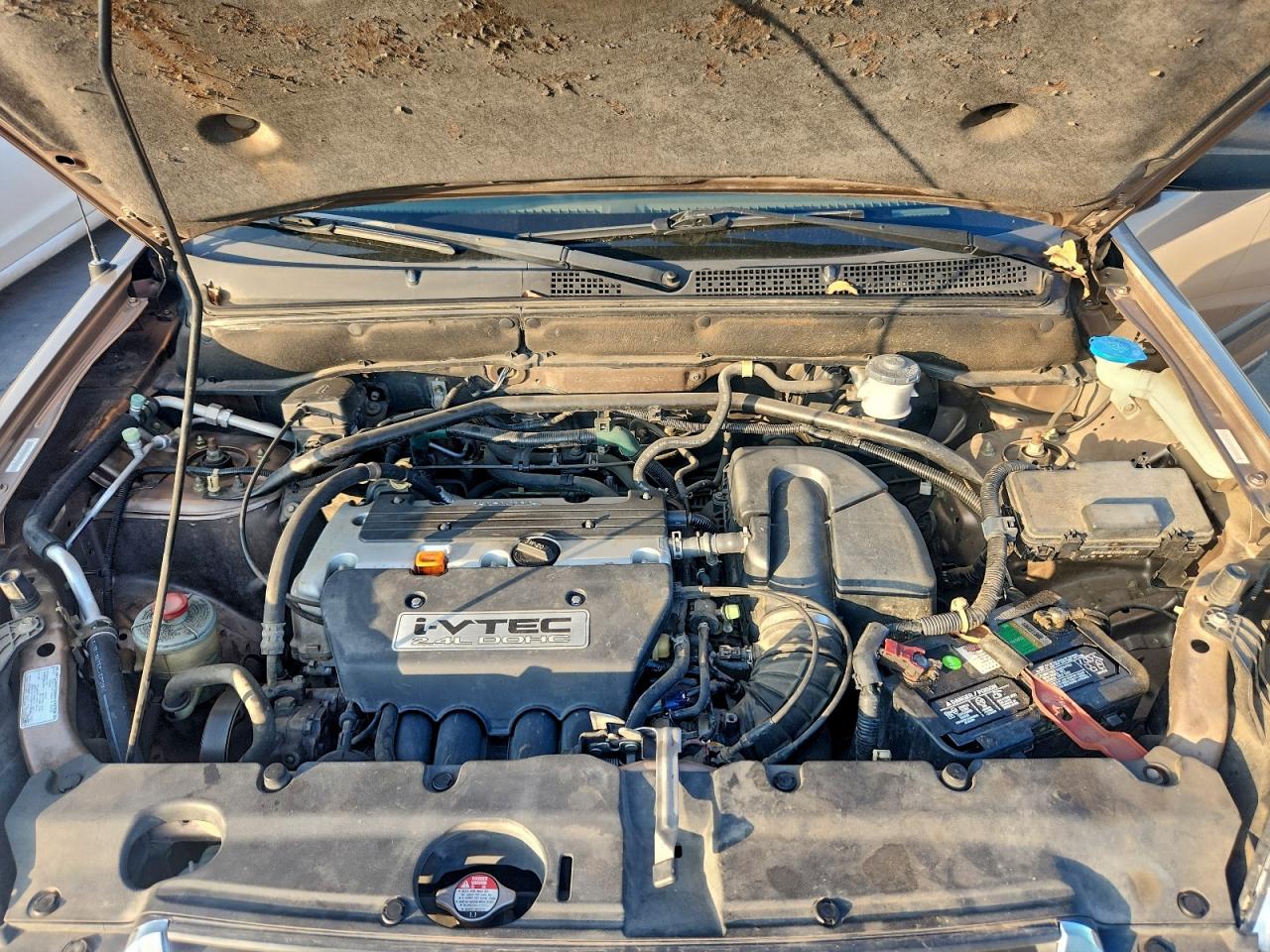 2003 HONDA CR-V LX photo 45