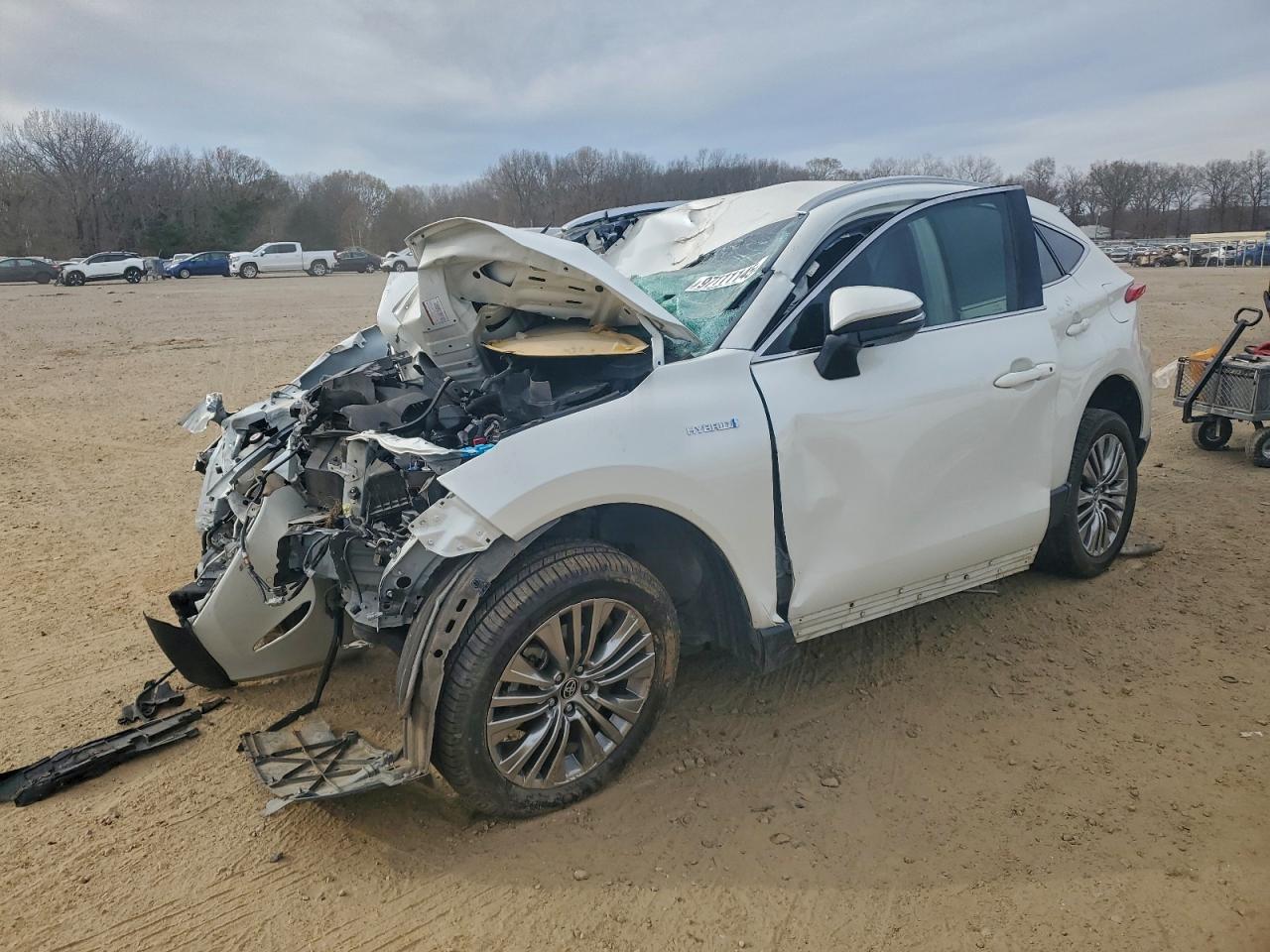 2021 TOYOTA VENZA