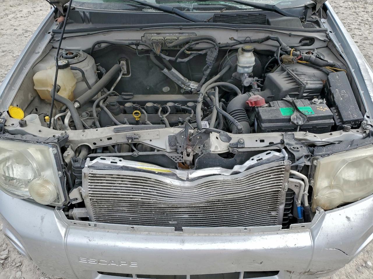 2010 FORD ESCAPE XLT photo 23