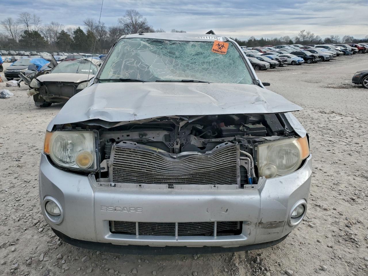 2010 FORD ESCAPE XLT photo 9