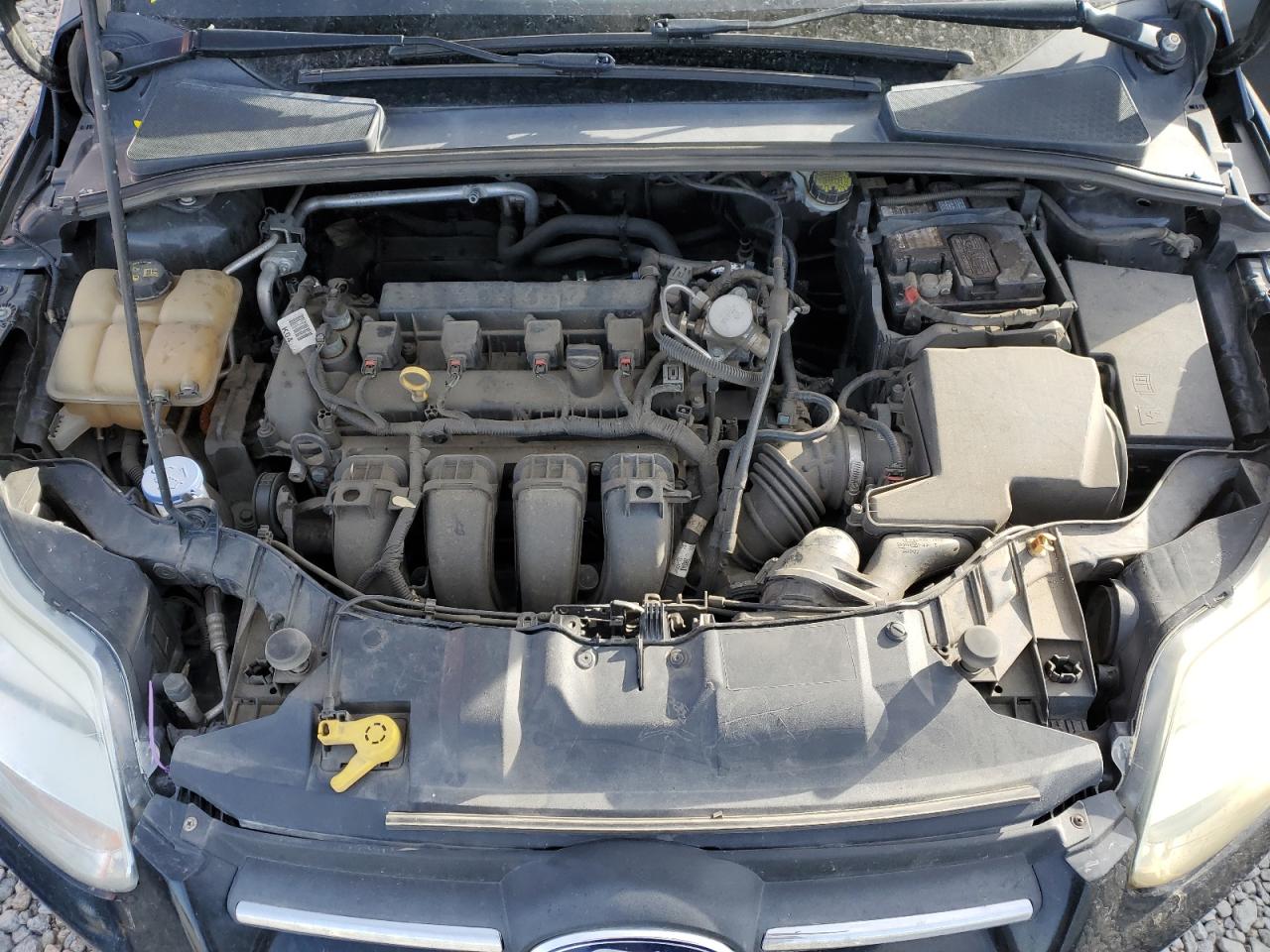2014 FORD FOCUS SE photo 11