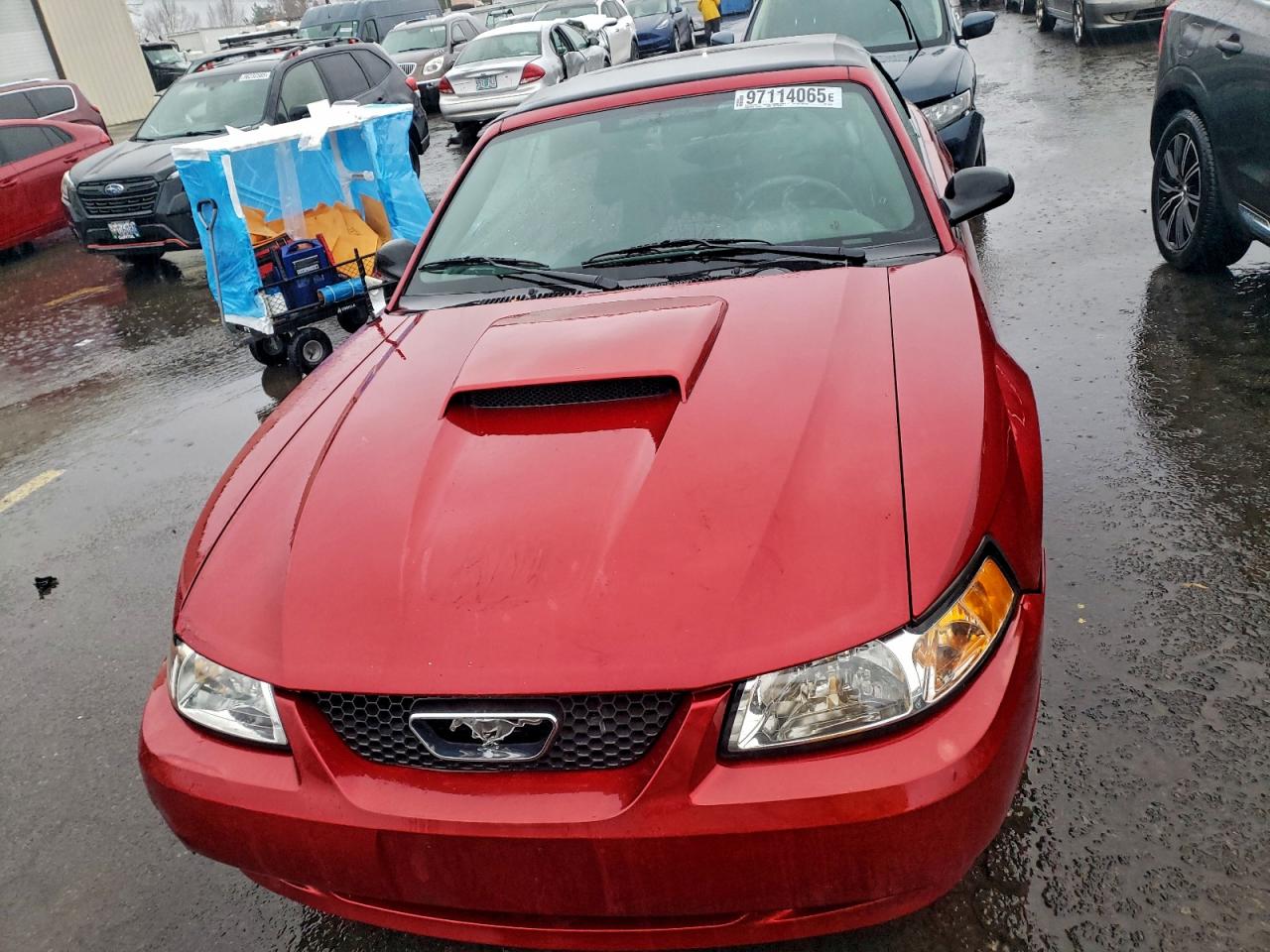 2004 FORD MUSTANG photo 5