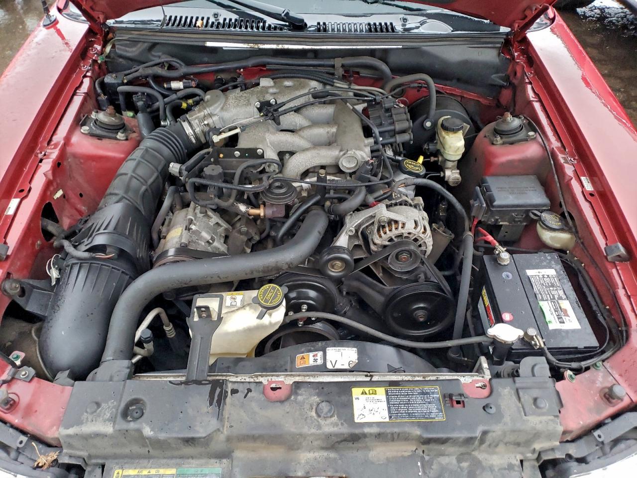 2004 FORD MUSTANG photo 11