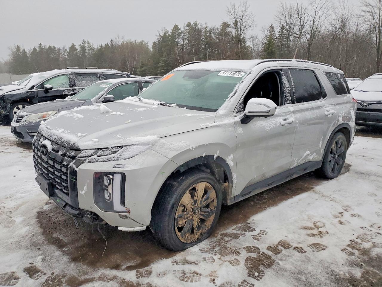 2024 HYUNDAI PALISADE