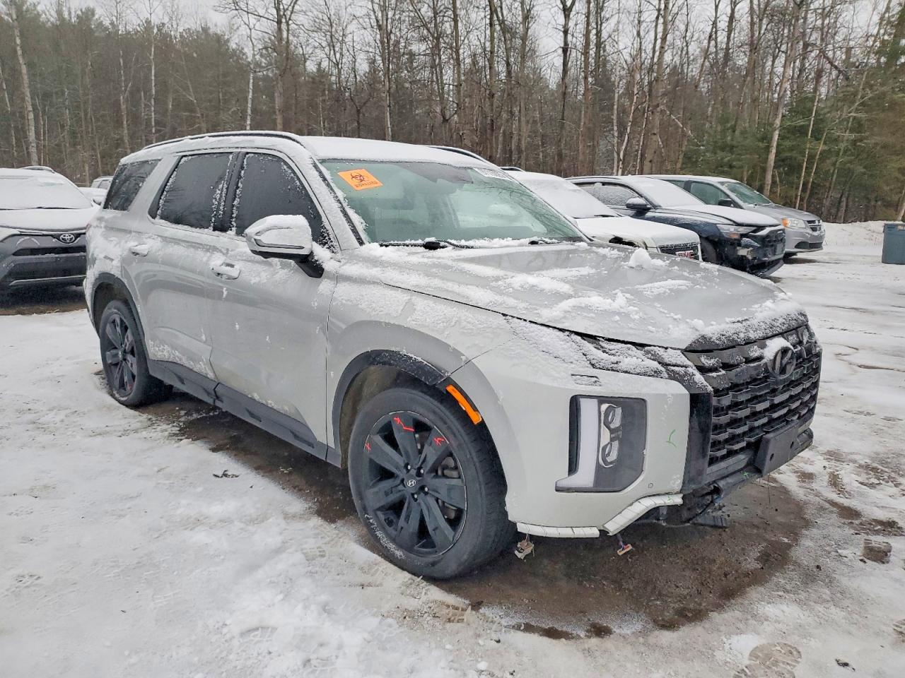 2024 HYUNDAI PALISADE XRT photo 4
