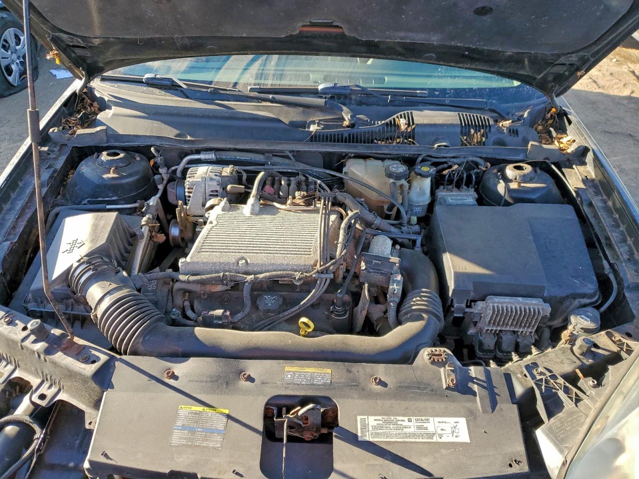 2005 CHEVROLET MALIBU LS photo 11