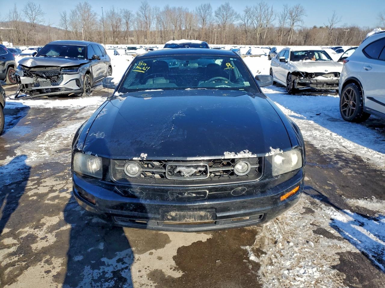2007 FORD MUSTANG photo 5
