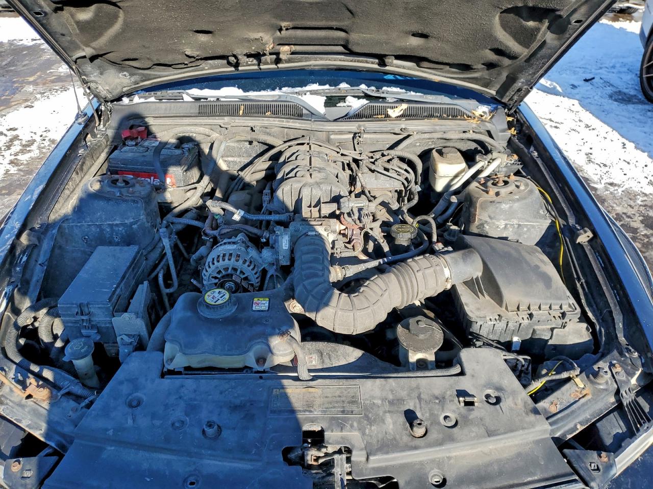 2007 FORD MUSTANG photo 11