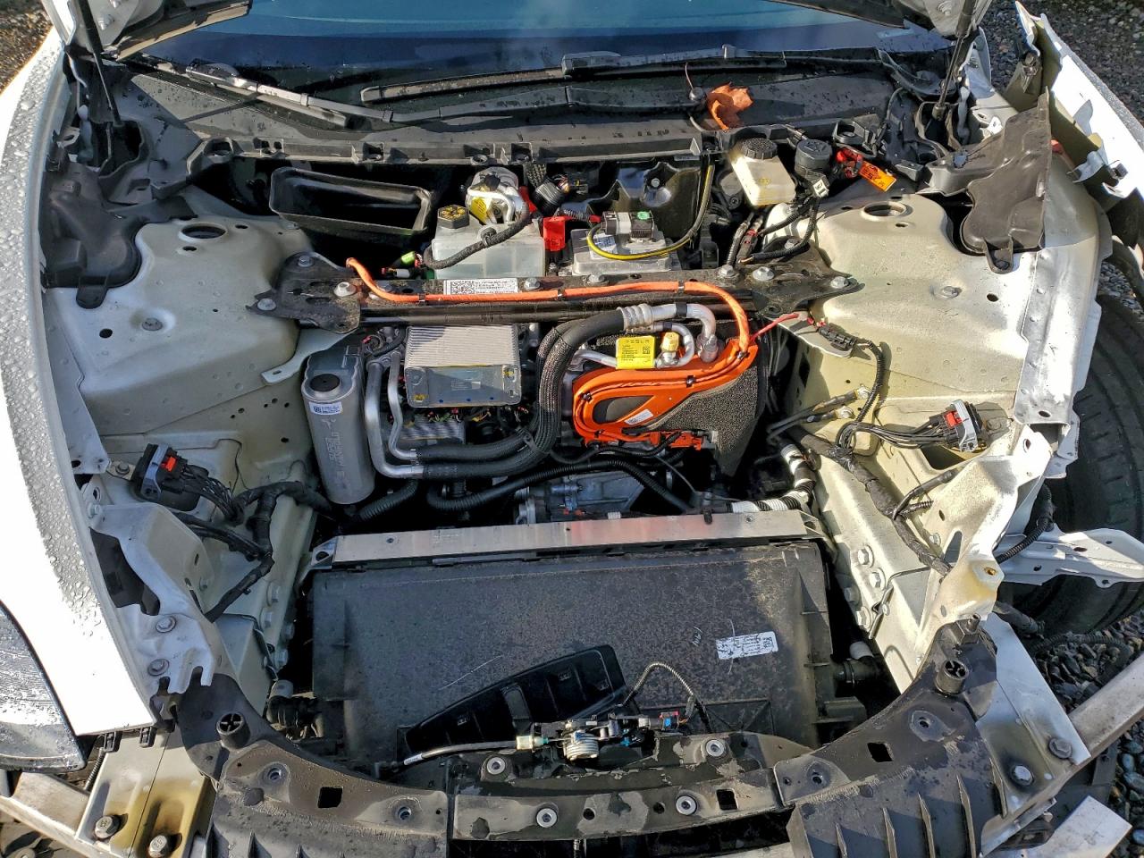 2023 TESLA MODEL 3 photo 11